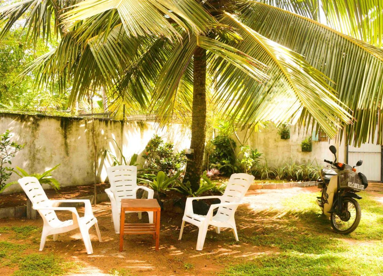 The Breeze Mirissa Bed & Breakfast エクステリア 写真