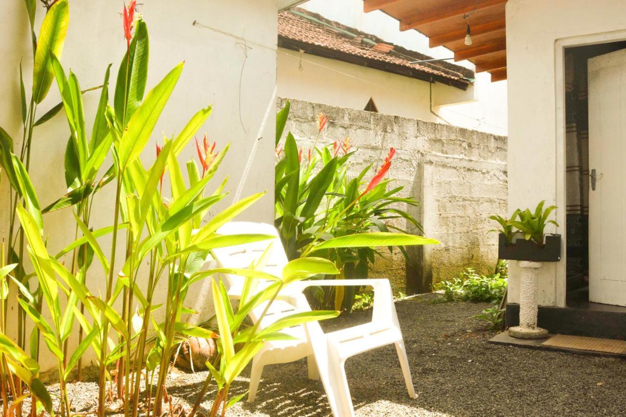 The Breeze Mirissa Bed & Breakfast エクステリア 写真