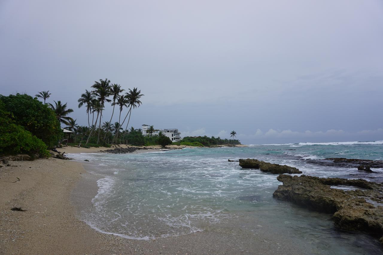 The Breeze Mirissa Bed & Breakfast エクステリア 写真