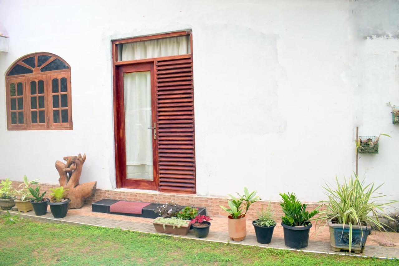 The Breeze Mirissa Bed & Breakfast エクステリア 写真